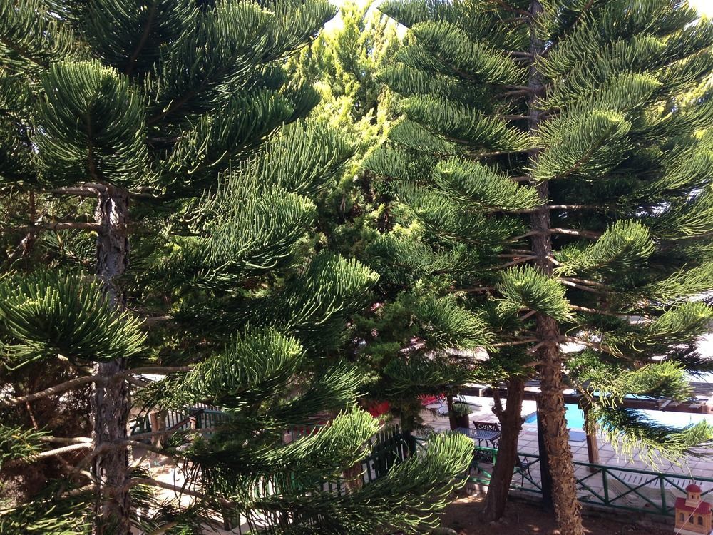 Anastasia Holiday Apartments Klorakas Luaran gambar